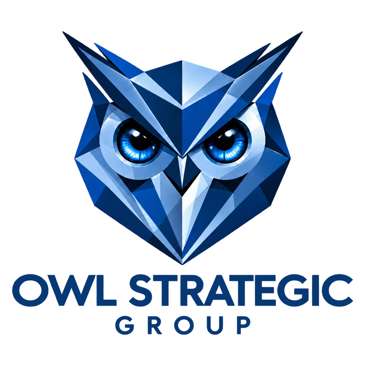 Owl Strategic Group